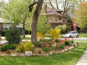 Greenspace Redevelopment